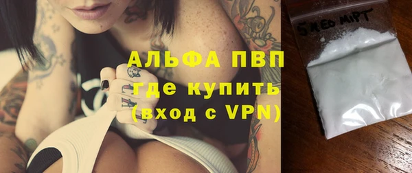 мдпв Инсар