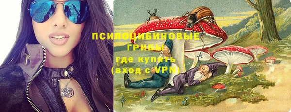 гидра Вязьма