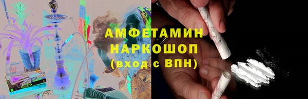 гидра Вязьма