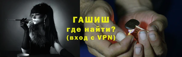 гидра Вязьма