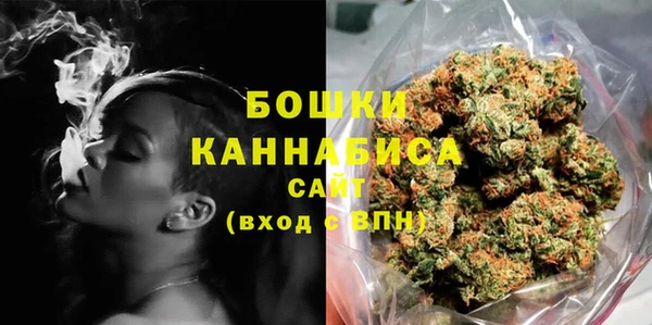 гидра Вязьма