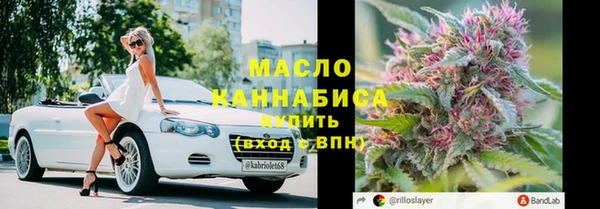 гидра Вязьма