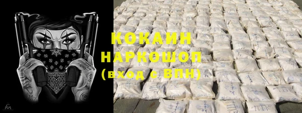 гидра Вязьма