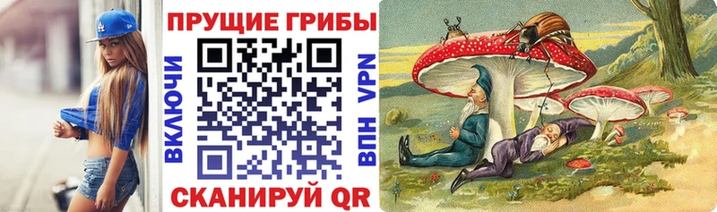 Галлюциногенные грибы Psilocybine cubensis Луга